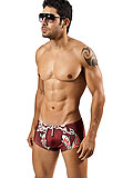 Clever Koi Fish Swimsuit Trunk