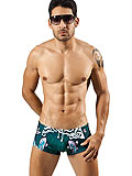 Clever Koi Fish Swimsuit Trunk