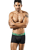 Clever Ankara Boxer