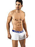 Clever Ankara Boxer