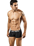 Clever Zafiro Latin Boxer
