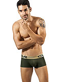 Clever Zafiro Latin Boxer