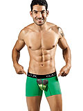 Clever Cool Frog Boxer