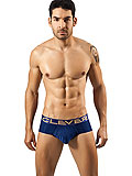 Clever Desert Classic Brief
