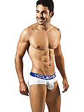 Clever Ankara Brief
