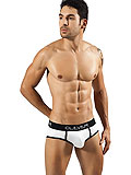 Clever Little Monkey Brief