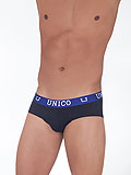 UNICO Brief Yang