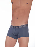 UNICO Trunk Positivo