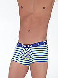 UNICO Trunk Estable