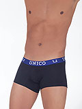 UNICO Trunk Yang
