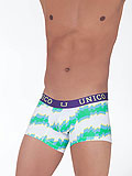 UNICO Trunk Sentir