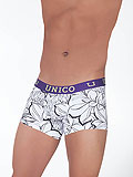 UNICO Trunk Loto