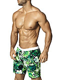 Vuthy Board Shorts