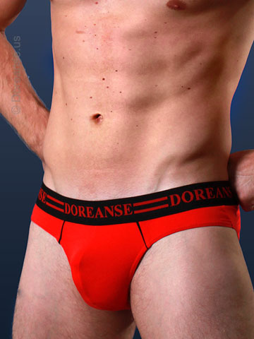 DOREANSE Swift Brief