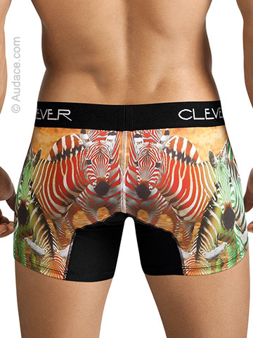 Clever Zebra Boxer