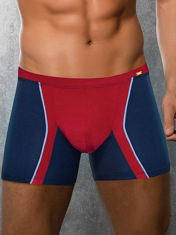 DOREANSE League Boxer