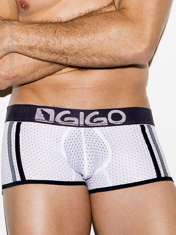 Gigo Fresh Trunk