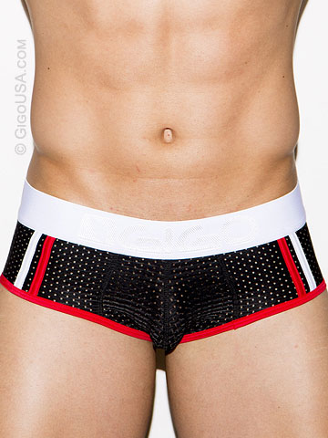 Gigo Fresh Brief