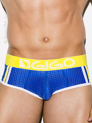 Gigo Fresh Brief