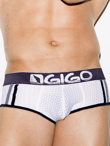 Gigo Fresh Brief