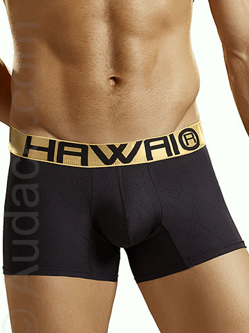 Hawaii Boxer