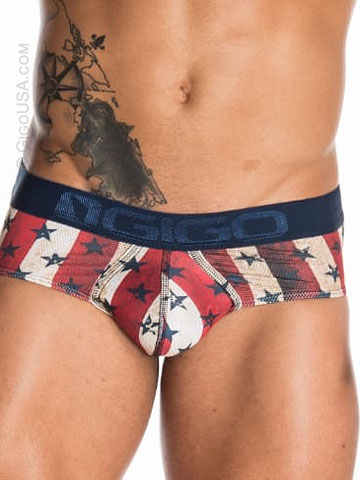 Gigo USA Vintage Brief Us Flag