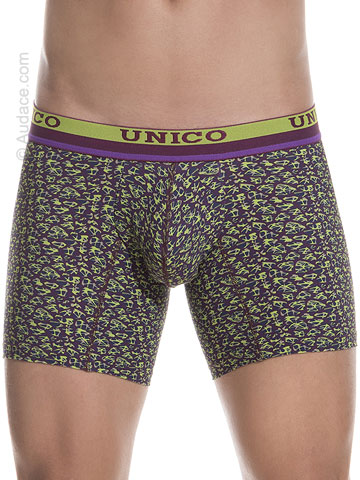 UNICO Boxer Huerta