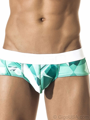 Gigo Futuristic Brief