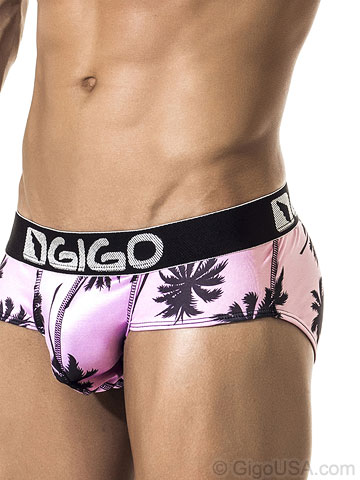 Gigo Palm Springs Brief