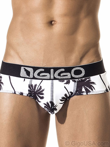 Gigo Palm Springs Brief