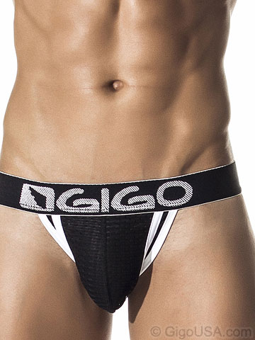 Gigo American Brief