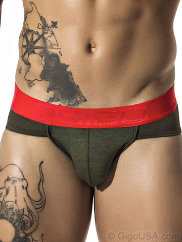 Gigo Mesh Brief