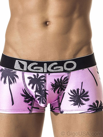 Gigo Palm Springs Boxer