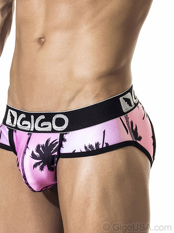 Gigo Palm Springs Brief Jockstrap