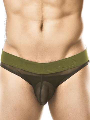 Gigo Brief