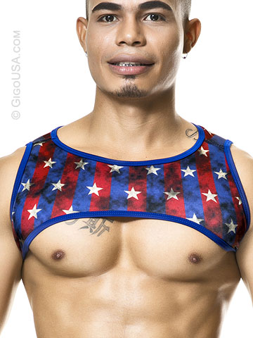 Gigo USA Flag Crop Top