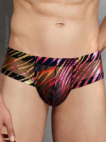 DOREANSE Sheer Flames Brief