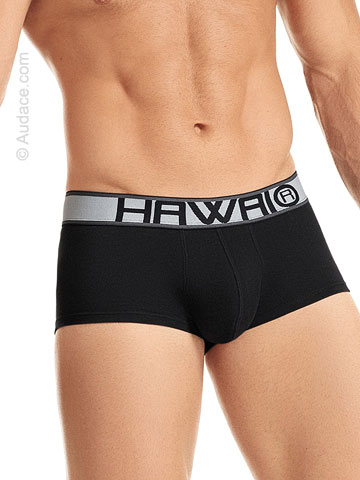 Hawaii Briefs