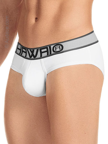 Hawaii Briefs