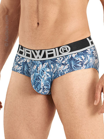 Hawaii Briefs