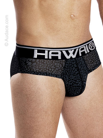 Hawaii Animal Print Hip Briefs