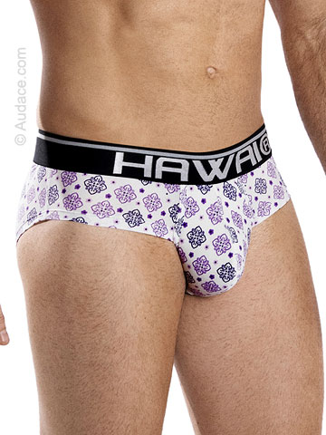 Hawaii Arabesque Hip Briefs