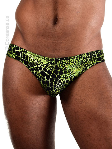 DOREANSE Space Venom Brief