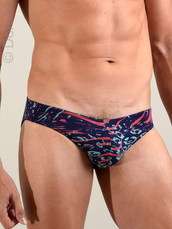 DOREANSE Submarine Brief